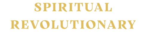 spiritual revolutionary